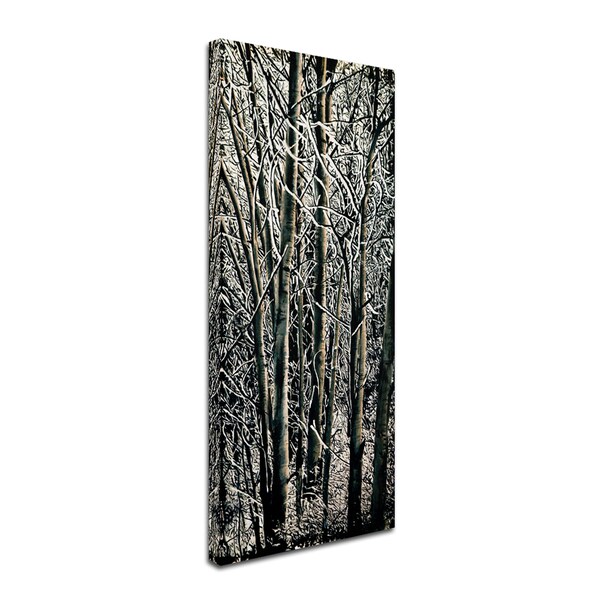 Roderick Stevens 'Aspen Winter Panel 03' Canvas Art,10x24